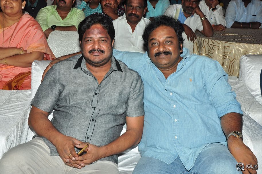 Rayudu-Movie-Audio-Launch